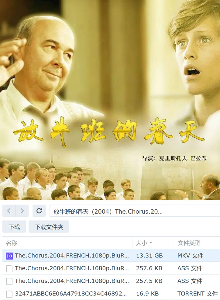 放牛班的春天-2004（至尊VIP免费下载）第1页